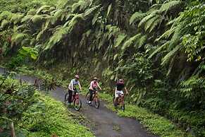 Hanging Gardens of Bali