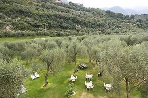 Hotel Garni Orchidea