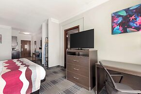 Best Western Medical Center North Inn & Suites Near Six Flags