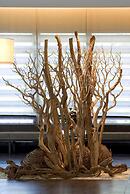 NH Collection Santiago de Compostela