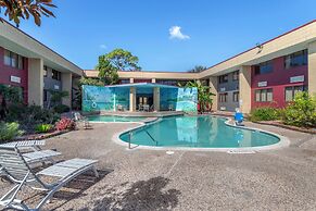 Red Roof Inn La Marque