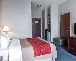 Comfort Inn Mississauga