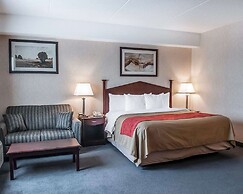 Comfort Inn Mississauga