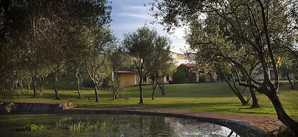 Felix Hotels - Hotel Airone