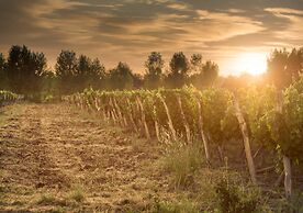 Postales by DOT Boutique