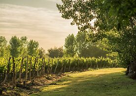 Postales by DOT Boutique