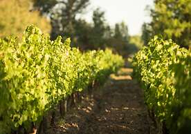 Postales by DOT Boutique