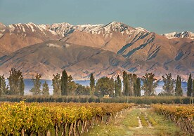 Postales by DOT Boutique