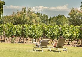 Postales by DOT Boutique