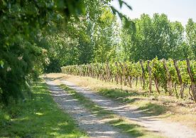 Postales by DOT Boutique