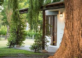 Postales by DOT Boutique