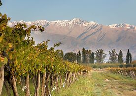 Postales by DOT Boutique