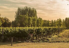 Postales by DOT Boutique