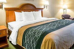 Comfort Inn & Suites Las Cruces Mesilla