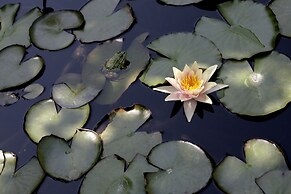 Dar Ayniwen Garden Hotel & Bird Zoo