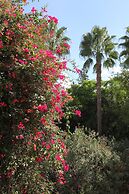 Dar Ayniwen Garden Hotel & Bird Zoo