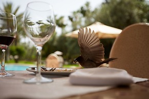 Dar Ayniwen Garden Hotel & Bird Zoo