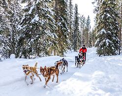 Lapland Hotels Bear's Lodge