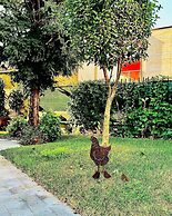 Lucca in Villa San Donato