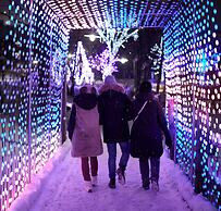 Westin Trillium House, Blue Mountain