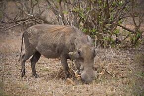 Mvuradona Safari Lodge