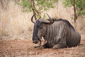 Mvuradona Safari Lodge