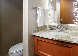 Hilton St. Petersburg Carillon Park