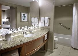 Hilton St. Petersburg Carillon Park