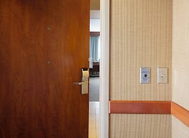 Hilton St. Petersburg Carillon Park