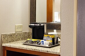 Hilton St. Petersburg Carillon Park