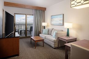 Hilton St. Petersburg Carillon Park