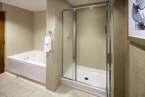 Hilton St. Petersburg Carillon Park