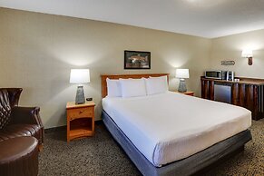 Stoney Creek Hotel Quad Cities - Moline