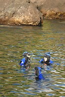 Quinta de Nossa Senhora das Mercês