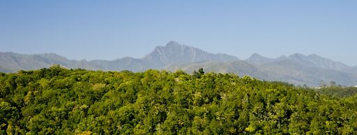 Hog Hollow Country Lodge