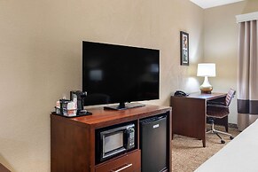 Comfort Inn And Suites Griffin