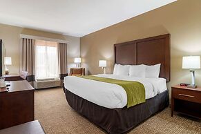 Comfort Inn And Suites Griffin