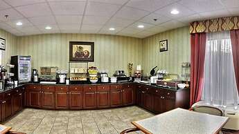 Comfort Inn And Suites Griffin