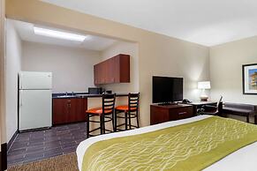 Comfort Inn And Suites Griffin