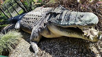 Cairns Gateway Resort