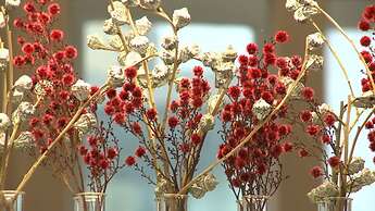 The Levante Parliament A Design Hotel