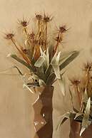 Pateo dos Solares Charm Hotel