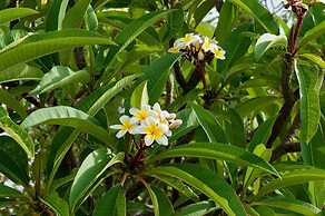 Melenos Art Boutique Hotel