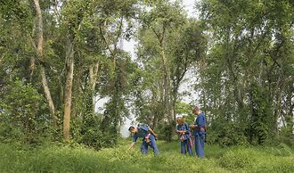 Four Seasons Tented Camp Golden Triangle