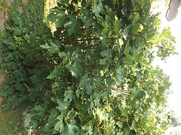 Helios Hotel Pension