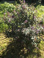 Helios Hotel Pension