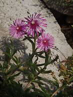 Helios Hotel Pension