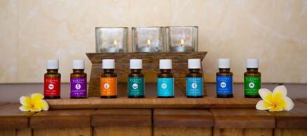 Coco de Mer Hotel and Black Parrot Suites