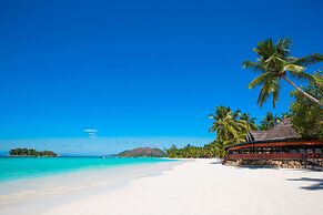 Paradise Sun
