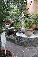 Hotel Villa Augustus